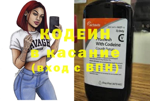 ГАЛЛЮЦИНОГЕННЫЕ ГРИБЫ Бородино