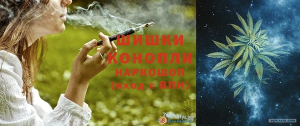 ГАЛЛЮЦИНОГЕННЫЕ ГРИБЫ Бородино