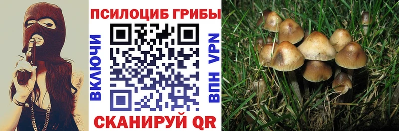 Купить закладки  Можайск  Псилоцибиновые грибы прущие грибы 
